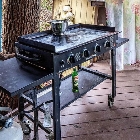 Bear Creek Lodge And Cabins In Helen Ga - Pet Friendly, River On Property, Walking Distance To Downtown 海伦 外观 照片