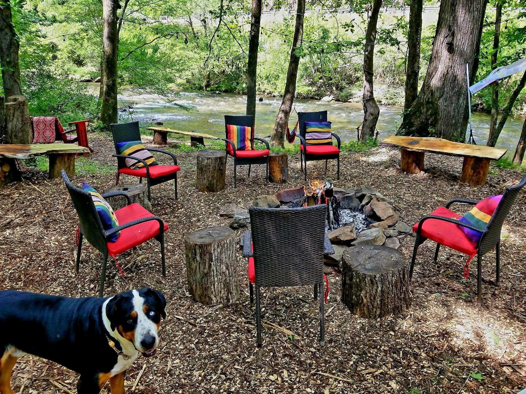 Bear Creek Lodge And Cabins In Helen Ga - Pet Friendly, River On Property, Walking Distance To Downtown 海伦 外观 照片